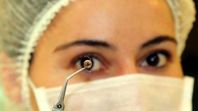 Sivas'tan 50 ülkeye ihraç ediliyor