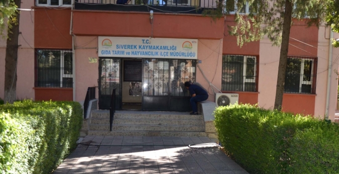 Siverek'te kuduz şüphesi bulunan mahalleye karantina