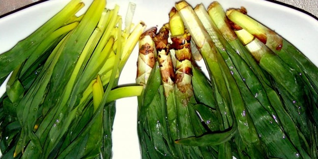 Sivilce tedavisi için 'Gulik Otu'