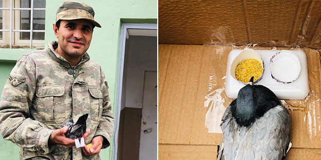 ‘Sivilleri öldürüyor’ dedikleri Mehmetçik, dünyaya insanlık dersi verdi!