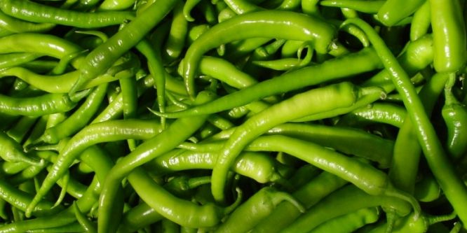 Şanlıurfa’da yeşil biberde rekor düşüş