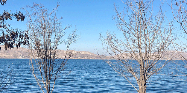 Sivrice'de korkutan görüntü! Deprem habercisi mi?