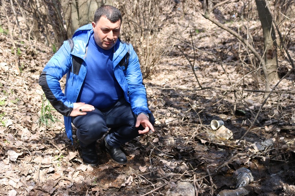 Sivrisineklerin taşıdığı virüslerden yılda 830 bin kişi hayatını kaybediyor 