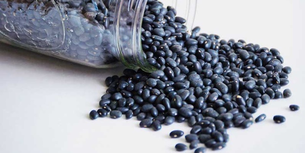 Siyah fasulye stresi azaltıyor