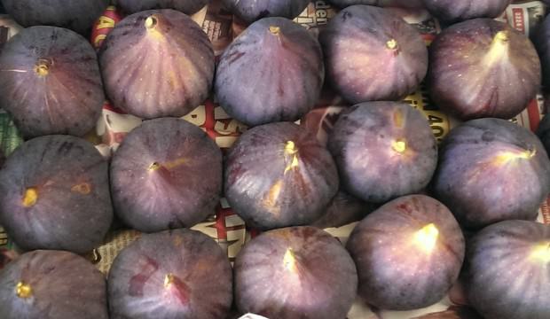 Siyah incir Çin pazarında talep gördü