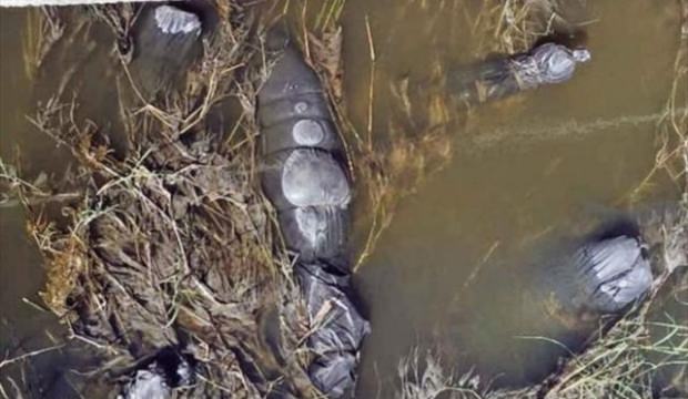 Siyah poşetler içinde 19 ceset bulundu