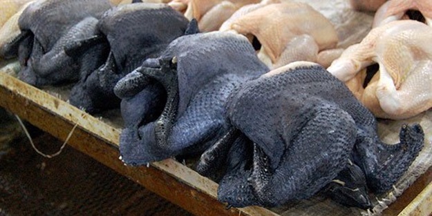 Siyah tavuk hayrete düşürüyor