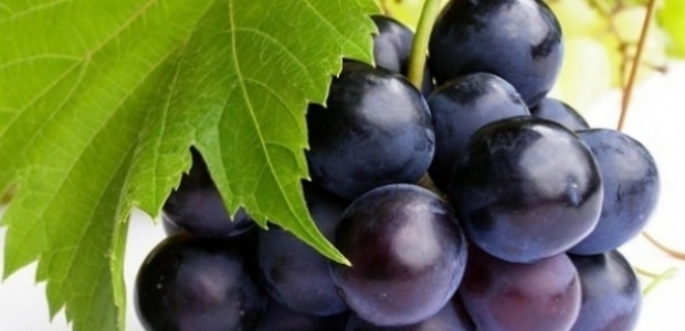 Siyah ve çekirdekli üzümü bol bol tüketin