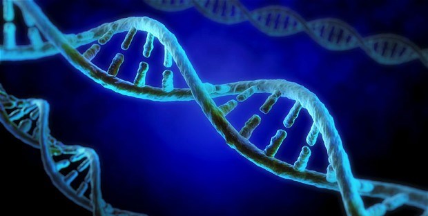 Siyasi görüşlerde genlerle bağlantılı olabilir