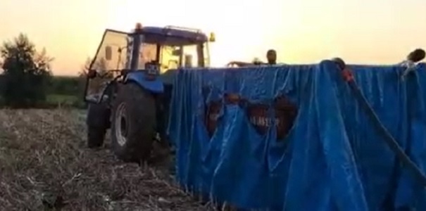 Siz daha önce böyle havuz gördünüz mü?