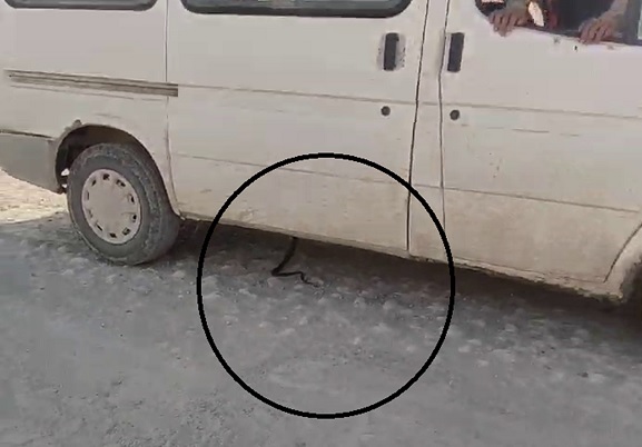 Siz daha önce böyle kovalamaca gördünüz mü?