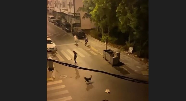 Siz iflah olmazsınız! Köpeklerini yoldan geçen vatandaşa saldırttı