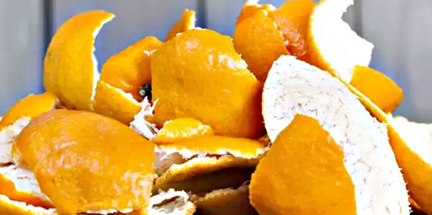 Siz mandalina kabuklarını çöpe mi atıyorsunuz yoksa? Bakın ne oluyor! Akılalmaz olay