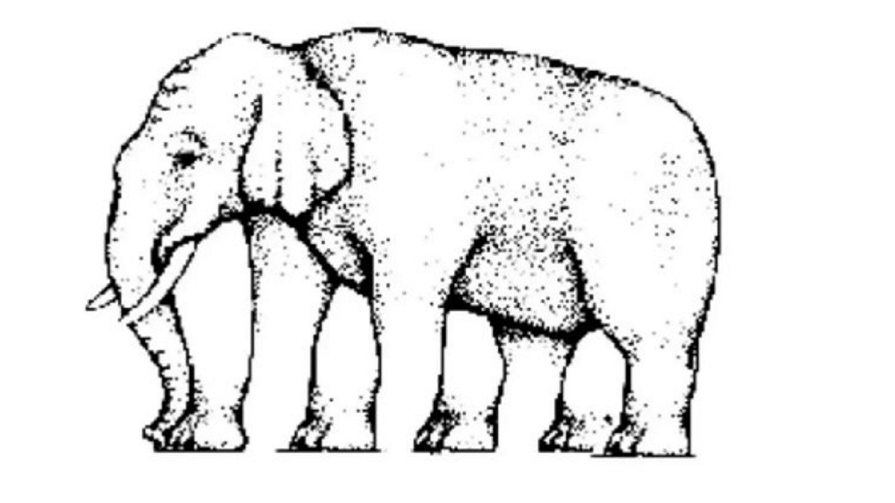 Sizce kaç ayağı var! Bu soruyu sadece üstün zekalılar çözebilir