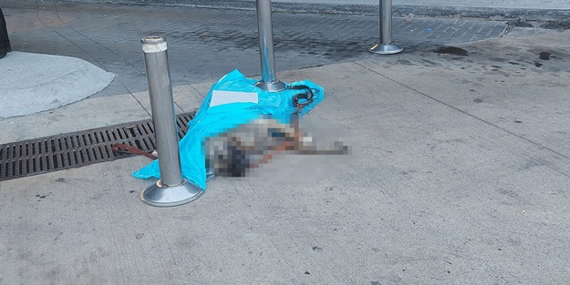 Sizde hiç mi akıl yok? Otobüsün bagajında bakın ne taşıdılar