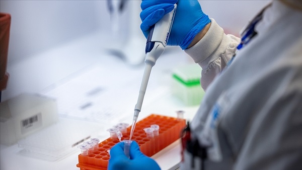 Sizin başınıza gelirse ne yapmalısınız? Kredi kartı bilgilerinin bile 20 katı fiyata satıyorlar