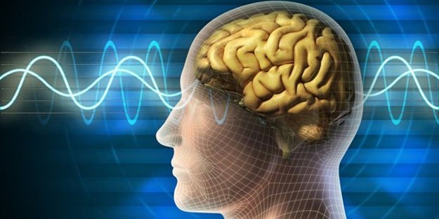 Sizin zekânız hangi türden?