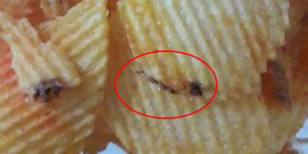 Cips paketinde skandal! Dikkat etmese yiyecekti...