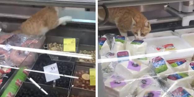 Skandal görüntü Türkiye'de ünlü zincir markette çekildi! Sosyal medyada tepki yağdı