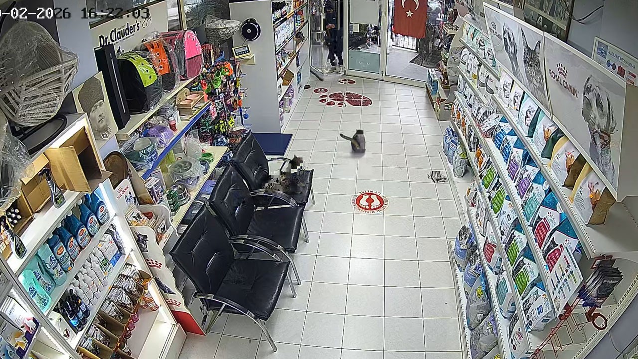 Skandal görüntü! Veteriner kliniğine torpil attılar