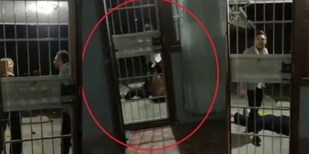 Skandal görüntülere tepki yağmıştı! O cani hakkında karar verildi
