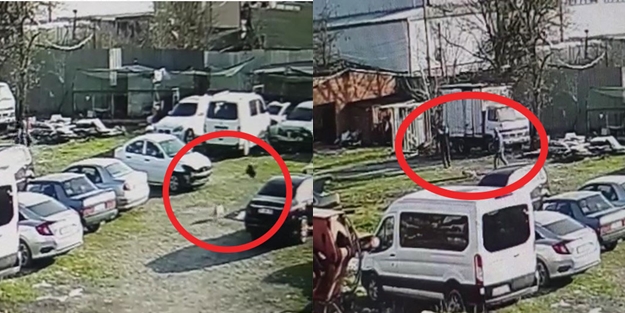 Skandal karar: Köpeğini başıboş bırakana değil, tavuğunun parçalanmasını engelleyene ceza kesildi!