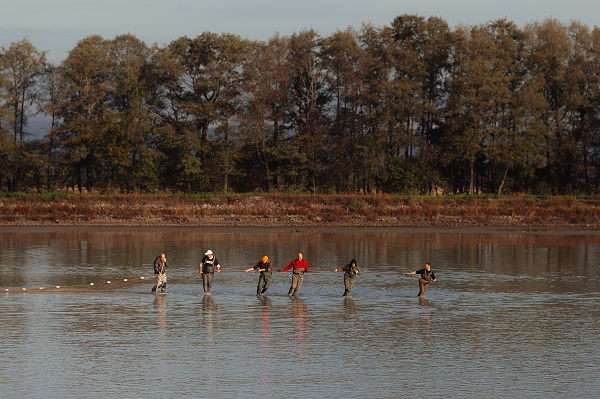 Slovakyalı balıkçıların geleneksel balık avı böyle görüntülendi