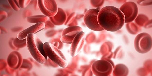 Sofranızdan eksik etmeyin! İşte kansızlık düşmanı 8 müthiş besin