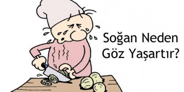 Soğan neden göz yakar? Soğan doğrarken gözlerin yanması nasıl önlenir?
