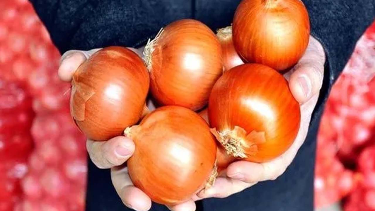Soğan şart: Her sofrada olması gerekiyor!