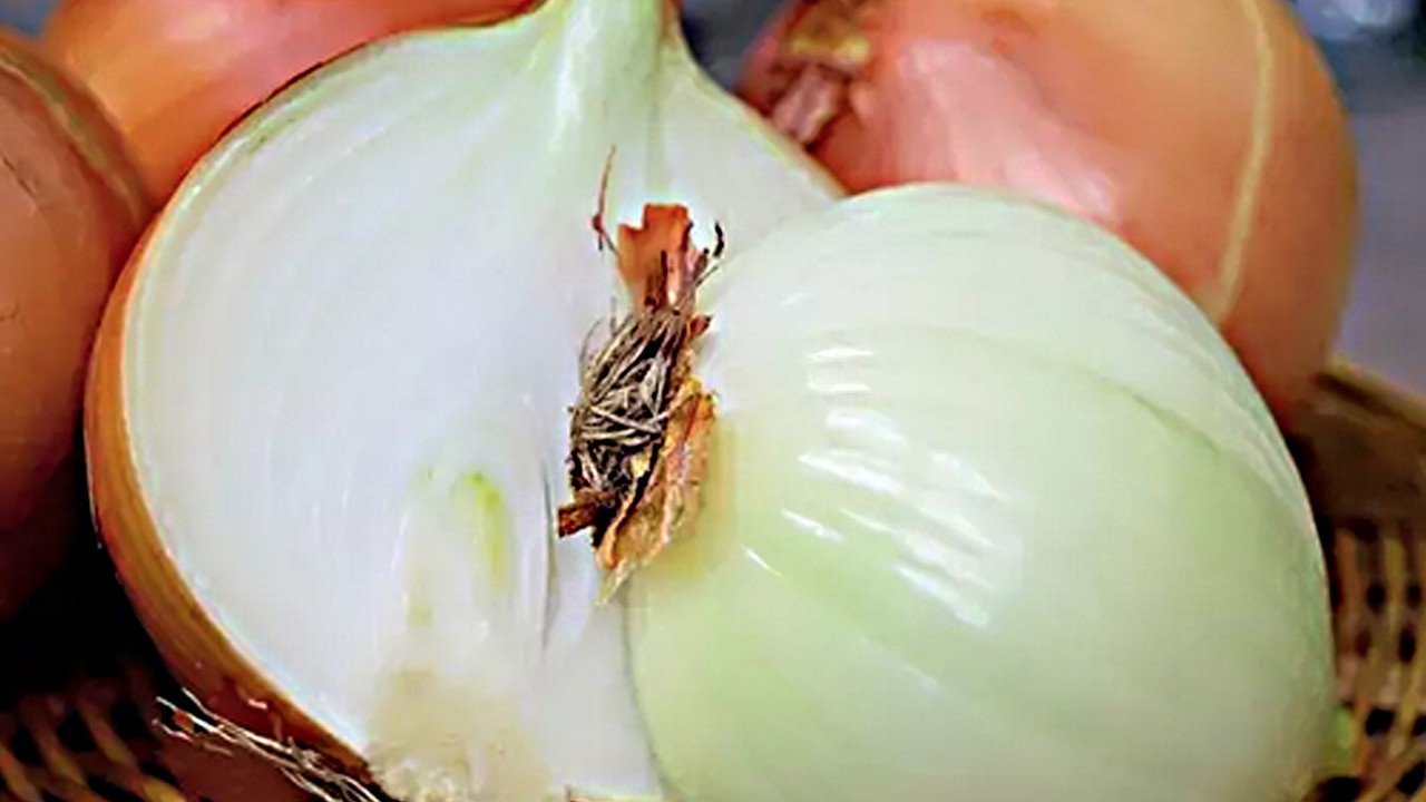 Soğan suyunun faydaları saymakla bitmiyor! Soğan kürü nasıl yapılır?