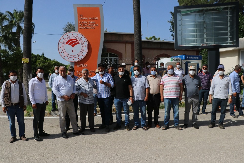 Soğan ve patates üreticisi hasadı durdurdu 