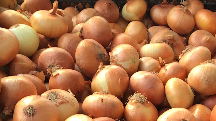 Soğandaki gümrük vergisi sıfırlandı