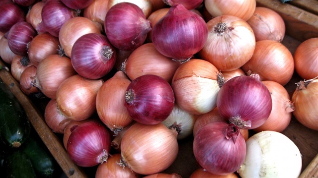 Soğandan elektrik üretecekler