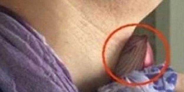 Soğanı boyna bağlamanın inanılmaz faydası