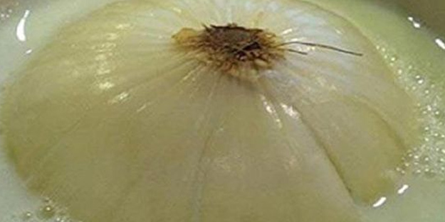 Soğanlı sütün faydaları: Şok uygulama! Bunu yapan, içen için çare olur!