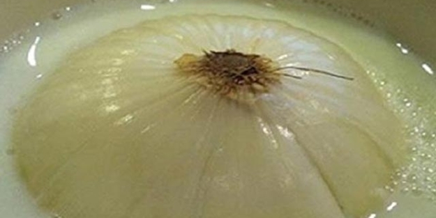 Soğanlı sütün yararları nelerdir?