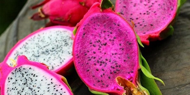 Soğuğa karşı doğal korunma bu bitkide