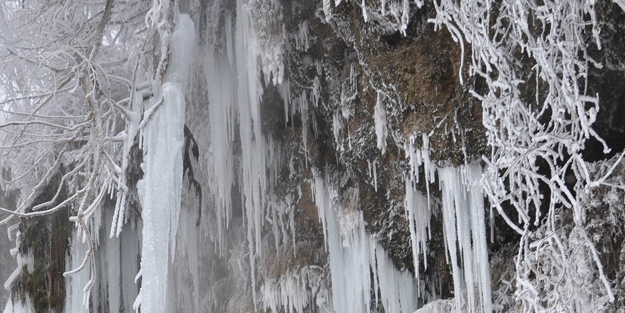 Soğuk hava şelaleyi dondurdu