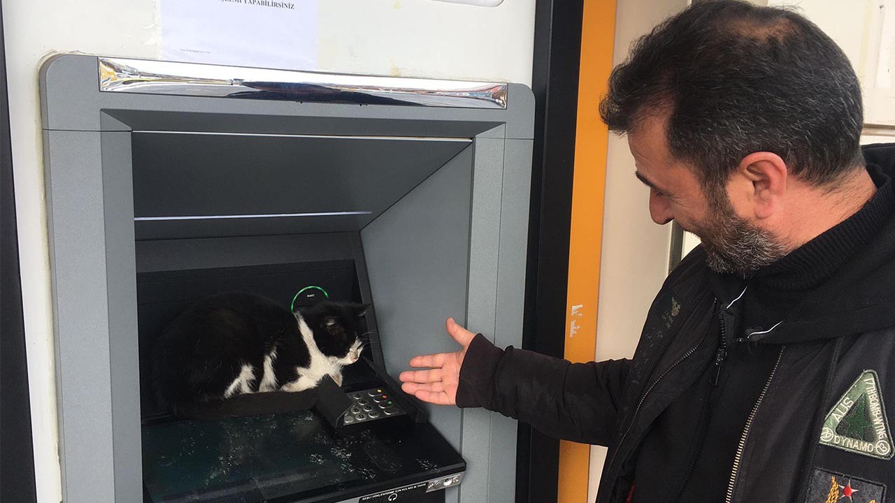 Soğuk havada üşüyen kedi bakın nereye sığındı