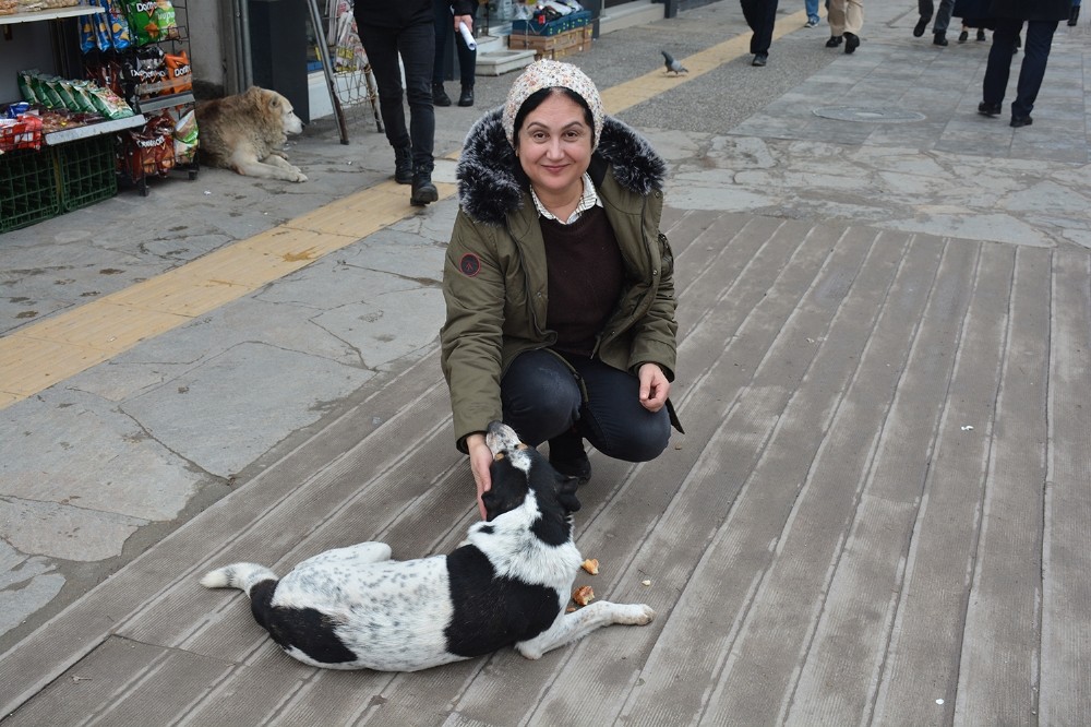 Soğuk kış aylarında sokak köpeklerine destek oluyor 