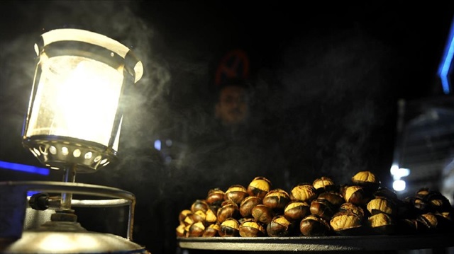 Soğuklar kestane üreticisini umutlandırdı