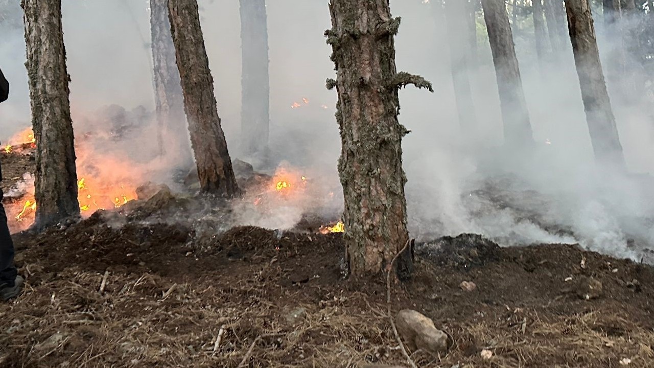 Soğuksu Milli Parkı’nda yangın
