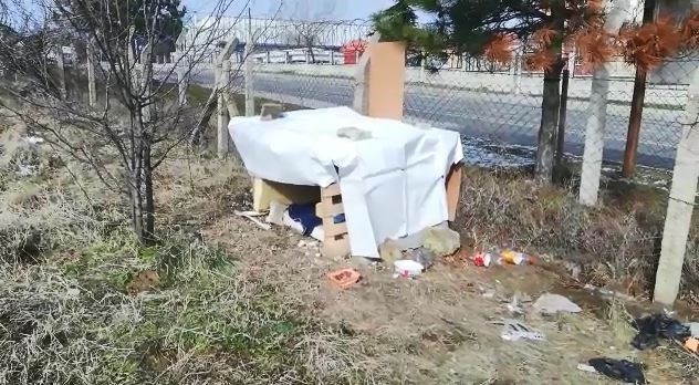 Soğukta kalan anne köpek ve 5 yavrusuna itfaiyeciler sahip çıktı 