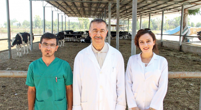 Şok gerçek ortaya çıktı! Kurbanlıklar, kesilirken acı çekmiyor