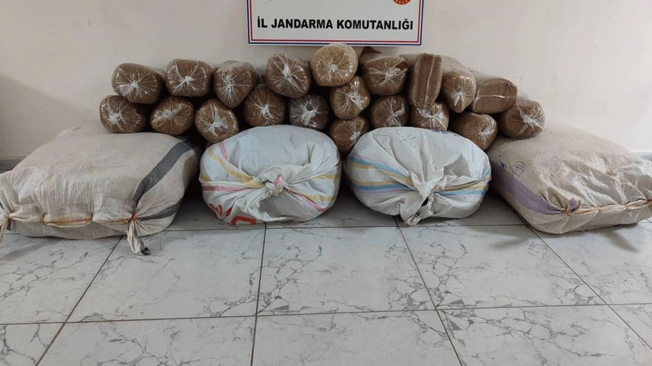 Şok uygulamada 14 gözaltı