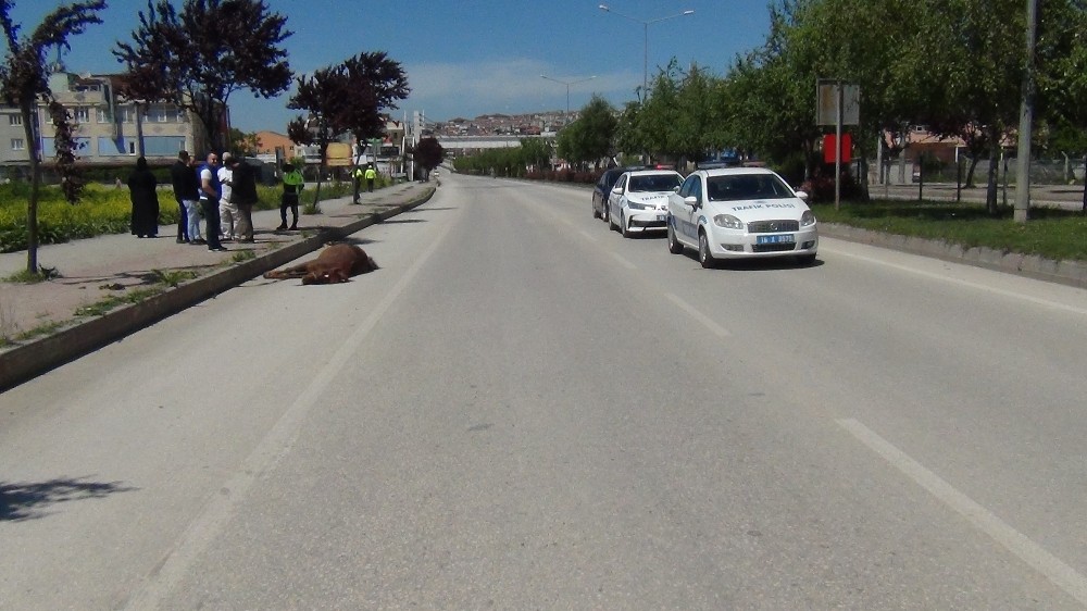 Sokağa çıkma kısıtlamasında akıl almaz kaza...Otomobil ata çarptı 