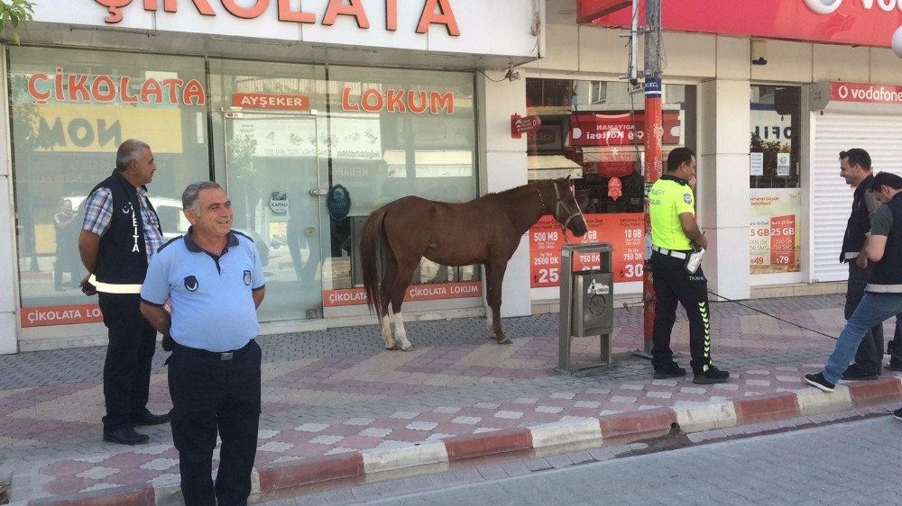 Sokağa çıkma kısıtlamasında uygulamaya bu kez sahipsiz at takıldı 