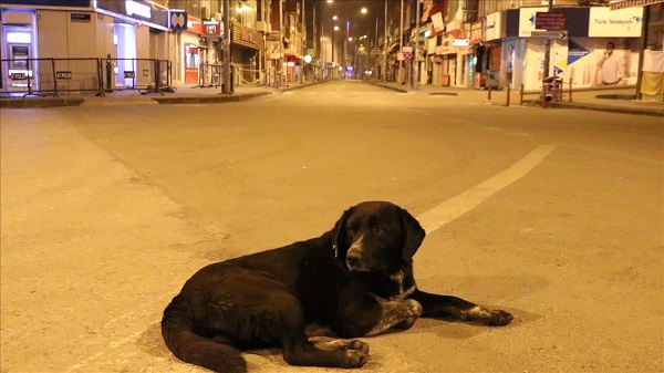 Sokağa çıkma yasağı ne zaman bitecek?