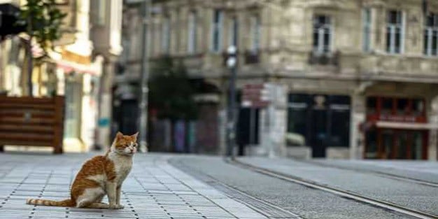 Sokağa çıkma yasağında dışarı çıkmanın cezası ne kadar?